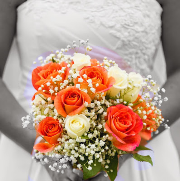 Meet your Posher, Cori - Picture 1 of 1